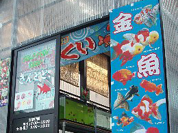 金魚専門店 きんとと、