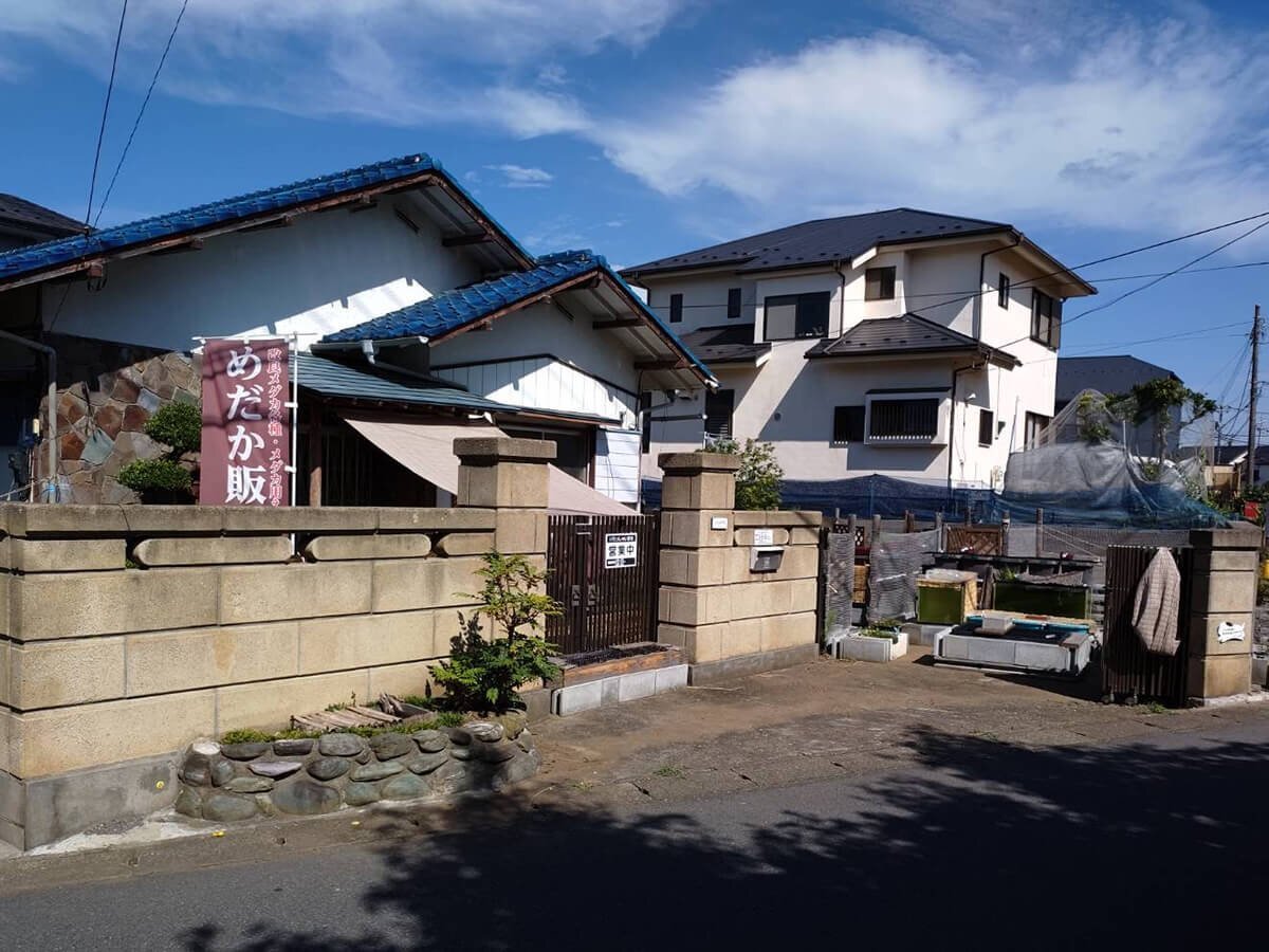 めだか屋 神秘 イメージ