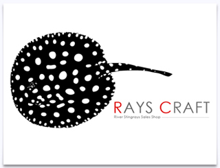 RAYS CRAFT