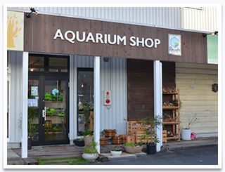 AQUARIUM SHOP  Breath