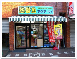 aquarium shop　アクア ベイ２