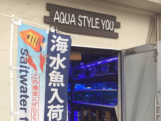 AQUA STYLE YOU イメージ